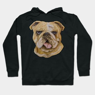 Bulldog in Pastels Hoodie